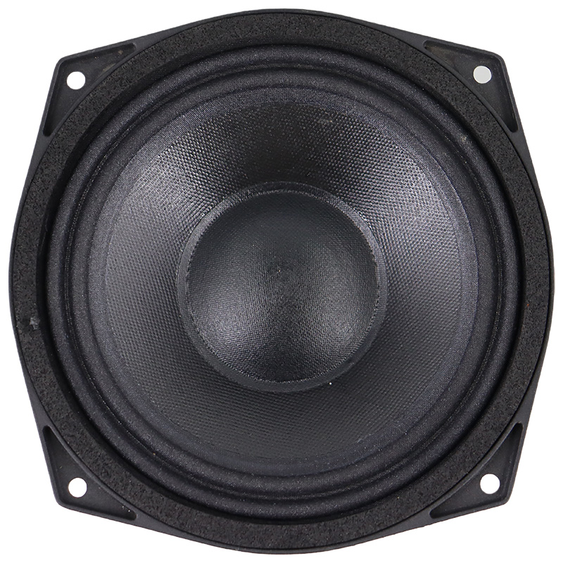 RS06N view 2